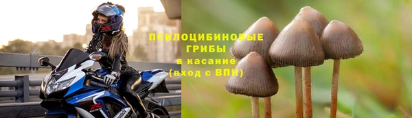 тгк Кулебаки