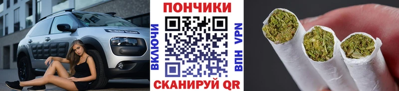 Каннабис конопля  Купить где  Кимовск 